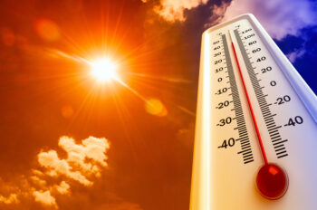What Is Making This Year So Damn Hot?