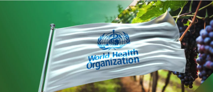 Should the government fund the World Health Organization?